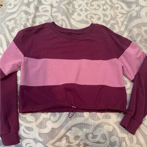 Buffbunny Purple and Pink Striped Long Sleeve Crop Sweatshirt